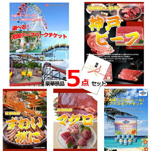 YN VŇii͂C StRy ii ژ^ IׂISe[}p[N`Pbg_˃r[tYCKj5_Zbg iipltژ^ 15232 rS 񎟉 Cx