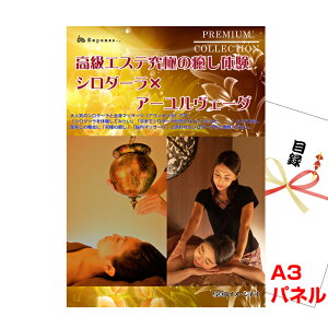 YN VŇii͂C ii pl ژ^ rS GXeɂ̖̌V_[×A[F[_A3iiplMtg`Pbgtژ^ iestr171j  StRy Cx