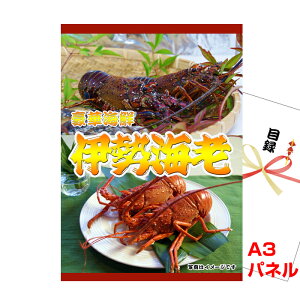 ii pl ژ^ rS ɐCVA3iipl&tژ^ iise90j  StRy Cxg I