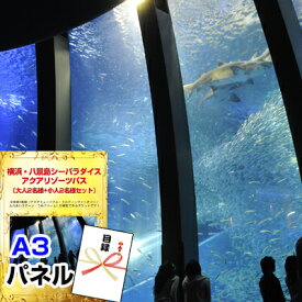 楽天市場 八景島シーパラダイスの通販