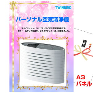 YN VŇii͂C  ii 񎟉 rS p[\iC@A3iipltژ^ itwbk251j ii ژ^ pl Cxg I