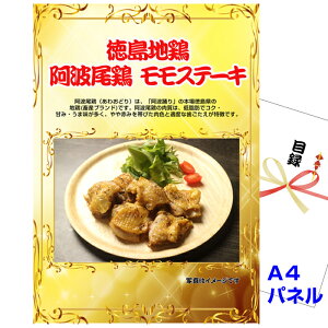 YN VŇii͂C ii pl ژ^ rS n{@g{@Xe[L A4iipltژ^iawa22j