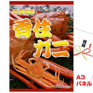 YN VŇii͂C ii ژ^ pl rS Zn}_ZC ɍbA3iipl&tژ^ ikn821j  StRy Cxg I