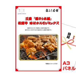 rS ii pl ژ^ Oduӂ{܁v㋍ tz~bNXA3iipltژ^ imsm217j  StRy Cxg I