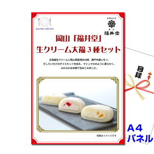 ii pl ژ^ rS Ru䓰vN[啟3Zbg A4iipltژ^ iofd221j  StRy Cxg I