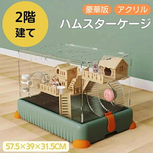 nX^[ P[W K đ傫  IV 11_Zbg 񂵎 zC[  pi 珬 AN ͂ ؐ  hБ΍ h