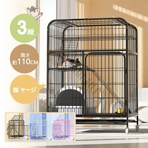 yzL P[W LbgP[W 3i L݌v Rgݍ킹 g[t LhAt nbNt ^ LQ[W   LbgnEX lR nEX i  ی 