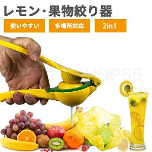 i i 2in1 nhW[T[ ʕ W[T[ 蓮 ʏ`i kވ O[vt[ci 蓮 t[cʏ` ƃCJb^[ A~ 䂸i 