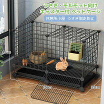 楽天市場】モルモット 飼育セットの通販