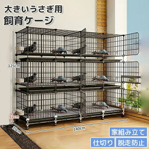 ybgP[W P[W {pP[W eP[W 3w ^ 140*35*137cm P[W  ȒP^ѕ֗ t  C[P[W Lbg Ƒgݗ ȒP  d؂ Eh~ETM