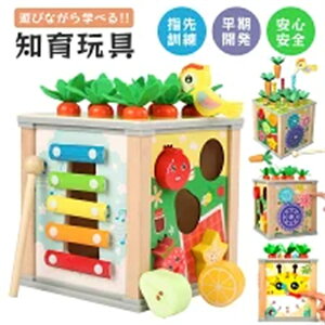 おもちゃ 男の子 女の子 知育玩具 木のおもちゃ 積み木 積木 つみき ブロック 型はめ 形合わせ はめ込み 木琴 時計 歯車子供 1歳 2歳 3歳 ベビー 赤ちゃん 形認識 色認識 指先訓練 脳トレ 室内