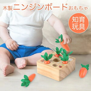 モンテッソーリ おもちゃ 木のおもちゃ ニンジン パズル 積み木 おままごと 知育玩具 学習玩具 木製玩具 空間認識 形状認識 色認識 感覚教具 指先訓練 男の子 女の子 子供レジャー 室内 遊び