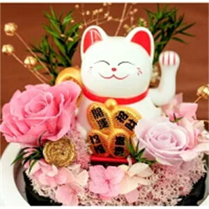 i L ̓ Mtg vU[uht[ ̓@ KX ͂Ȃ ỉ iCgCg Mtg{bNXt  a LO