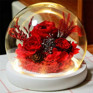  vU[uht[ J[l[V ỉ i ͂Ȃ o Mtg KN [Y v[g KX|bg hCt[ {bNXt LEDCgt Ǝ ̓ l