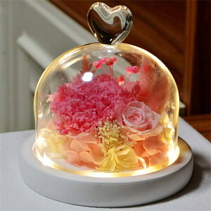 vU[uht[ J[l[V ỉ i ͂Ȃ Mtg v[g KX|bg hCt[ {bNXt LEDCgt Ǝ ̓ l l a j  