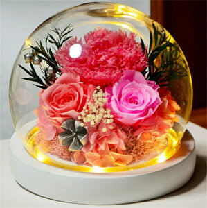 vU[uht[ J[l[V ỉ i ͂Ȃ Mtg v[g KX|bg hCt[ {bNXt LEDCgt Ǝ ̓ l l a j  