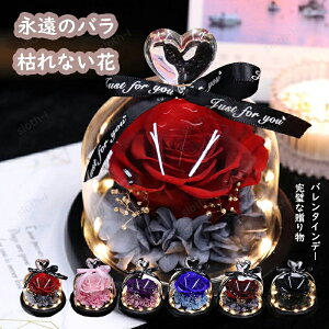 �n�[�g�̃K���X�J�o�[ �v���U�[�u�h�t�����[ LED���C�g�t�� �I�ׂ�6�� �p���b�g �o�� �a���� �v���[���g �o�����^�C�� ���� �� �c�� ���F�B ������� ���a���� �����j�� �����L�O�� ���ʉ� ��