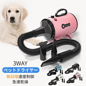 ybghC[  phC[ ybgphC[ u[ iKx @ 3mYt Ax\ u[ ጸlFy^A^ɍœKzy