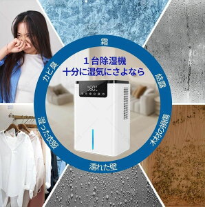 省エネ クローゼット 除湿乾燥機 18畳対応 ペルチェ式 2200ml大容量 除湿器 強力除湿 除湿器 小型 除湿機