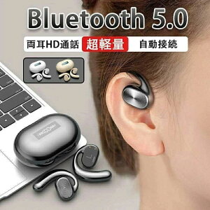 2024NŐVf`Cz CXCz Bluetooth5.0 u[gD[X R[hXCz Rh  Ў X|[c y nYt[ ҋ@