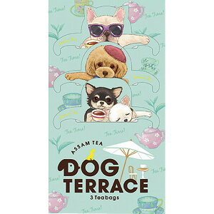 tbNeB[ hbOeX(AbT)(3eB[obO) Mtg 蕨  Ε j j Ԃ ei