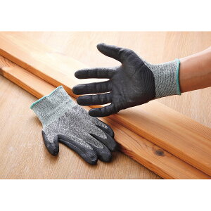 ϐؑn JbgK[hG150 M Ǝ R ׂ~ ؂ɂ