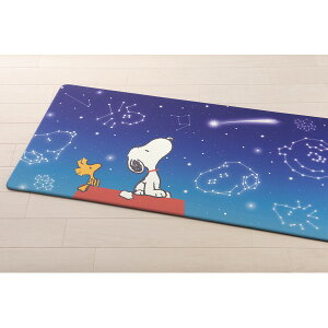 s[ibc PVCO}bg(120cm) Xk[s[ g[Ή Mtg 蕨 ̑i ii Ԃ v[g