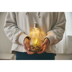 d^CeACg eE ϗtA v  ԐڏƖ v[g Mtg ii j j Ԃ