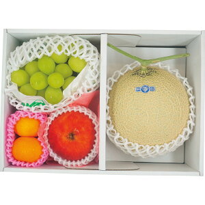 {𖡂키t[clߍ킹yژ^zژ^Mtg ii pl StRy 񎟉 