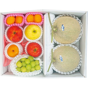 {𖡂키t[clߍ킹yژ^zژ^Mtg ii pl StRy 񎟉 