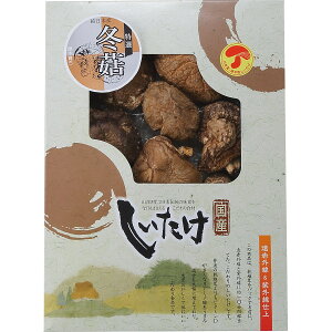 y420őP47{IvGg[zY؊őǂ(75g)    v[g Mtg 蕨  Ε j j Ԃ ei