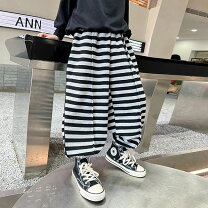 楽天市場】ボーダー パンツ（パンツ｜キッズファッション）：キッズ 