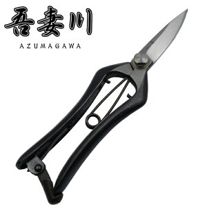 Ȑ  Аn 200mm ؂ y { El  肫΂ o s؂ꖡ  | ϋv  뉀  v | t p ~  ؋ ͂ }