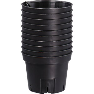 y112020`25܂ |Cgő10{zAbvEFA[ S|bg75 10g BK ubN |pi ƒ؉ K[fjO  v ی^ c c|bg Xbg Vv