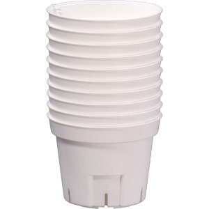 y112020`25܂ |Cgő10{zAbvEFA[ S|bg75 10g WH zCg |pi ƒ؉ K[fjO  v ی^ c c|bg Xbg Vv