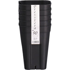 y112020`25܂ |Cgő10{zAbvEFA[ vXe[^90 5g BK ubN |pi ƒ؉ K[fjO  v p^ c c|bg Xbg Vv