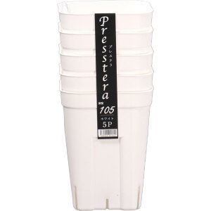 y112020`25܂ |Cgő10{zAbvEFA[ vXe[^105 5g WH zCg |pi ƒ؉ K[fjO  v p^ c c|bg Xbg Vv