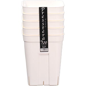 y112020`25܂ |Cgő10{zAbvEFA[ vXe[^120 5g WH zCg |pi ƒ؉ K[fjO  v p^ c c|bg Xbg Vv