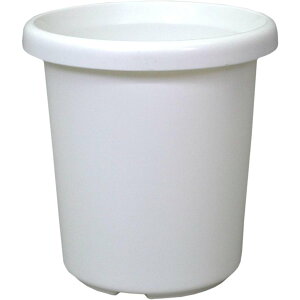 y101~31܂ Gg[Ń|Cgő10{zAbvEFA[() F^9 WH zCg 4905980024014 | K[fjO ||bg v Aؔ