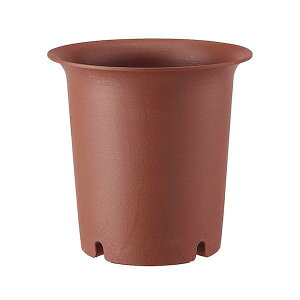 y101~31܂ Gg[Ń|Cgő10{zAbvEFA[() [^10 ђ 4905980104761 | K[fjO ||bg v Aؔ