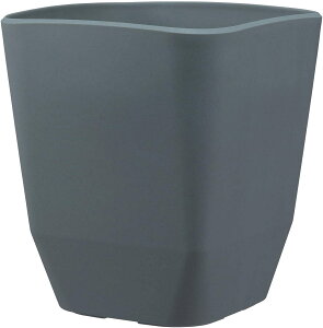 y16܂ |Cg10{zAbvEFA[ AgG XNGA290^ DGY _[NO[ 4905980115125 |pi K[fjOpi Aؔ v^[