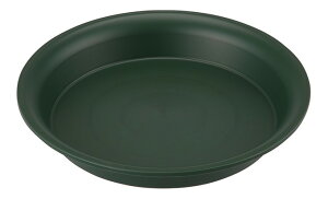 yX[p[Z[ 6܂ ő|Cg10{zyyVLO1ʁz AbvEFA[() [AM240^ GR O[ 4905980411166 | K[fjO  󂯎M