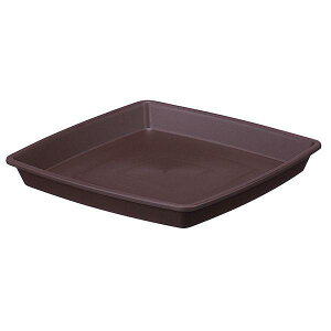 y16܂ |Cg10{zAbvEFA[ NtgXNGAv[g25^ _[NuE |pi K[fjO M |v[g vX`bN y Vv