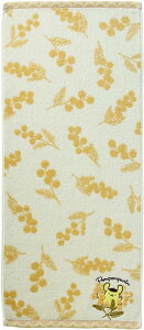  tFCX^I ||v u[ TI ^I LN^[ 100 R hL v[g Mtg