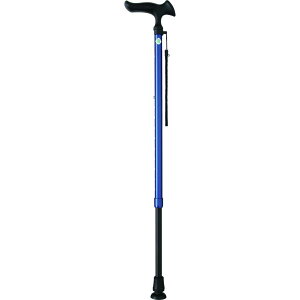 y114`5܂ Gg[Ń|Cgő10{ztWz[ 邪E LkSDMp BL u[ pi s s⏕ XebL ₷ 