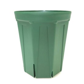 【マラソン期間限定 ポイント最大10倍】【楽天ランキング1位】 兼谷産業 スリット鉢 CSM-240L（8号ロング） モスグリーン 園芸用品 園芸ポット 植木鉢 プラスチック ガーデニング