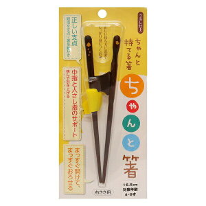 y112020`25܂ |Cgő10{zCV_ Ɣ Ep 16.5cm qp lp E  x   ዷh Y ዷh @\ 