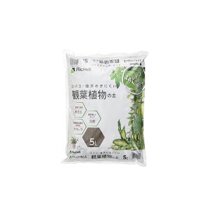 y16܂ |Cg10{zb`F ŇbR ϗtA̓y5L 4945680700726 |pi K[fjOpi ƒ؉ RoG΍ ΍