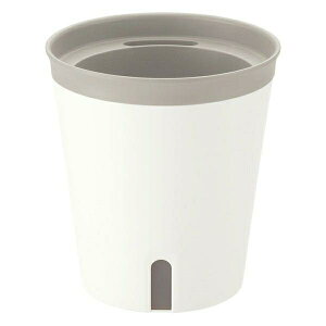 y101~31܂ Gg[Ń|Cgő10{zb`F ~GmPlus|bgNzCg 13^ ʋ