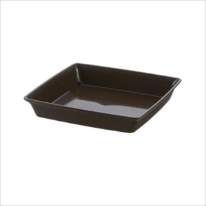 y101~31܂ Gg[Ń|Cgő10{zb`F tH[XNGAv[g8 DB 4945680715164 |pi K[fjOpi 󂯎M M v[g